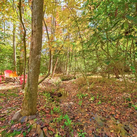 Ferny Creek Cottage Blairsville Exterior photo