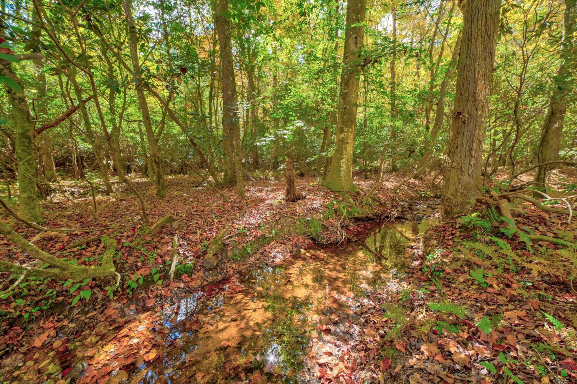 Ferny Creek Holiday home Blairsville