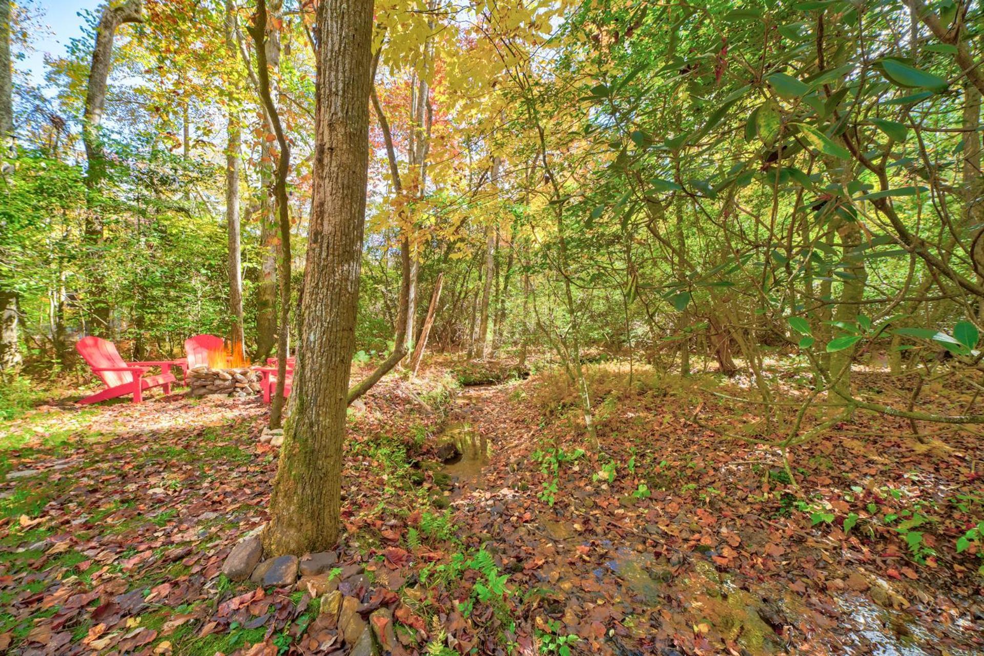 Ferny Creek Holiday home *